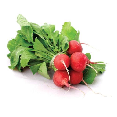 Radis rouge