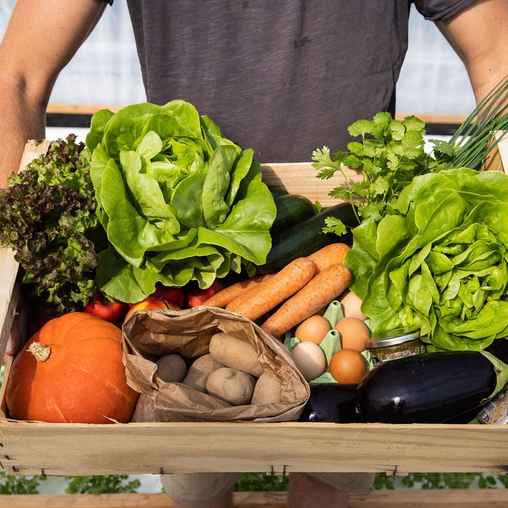 panier de saison été